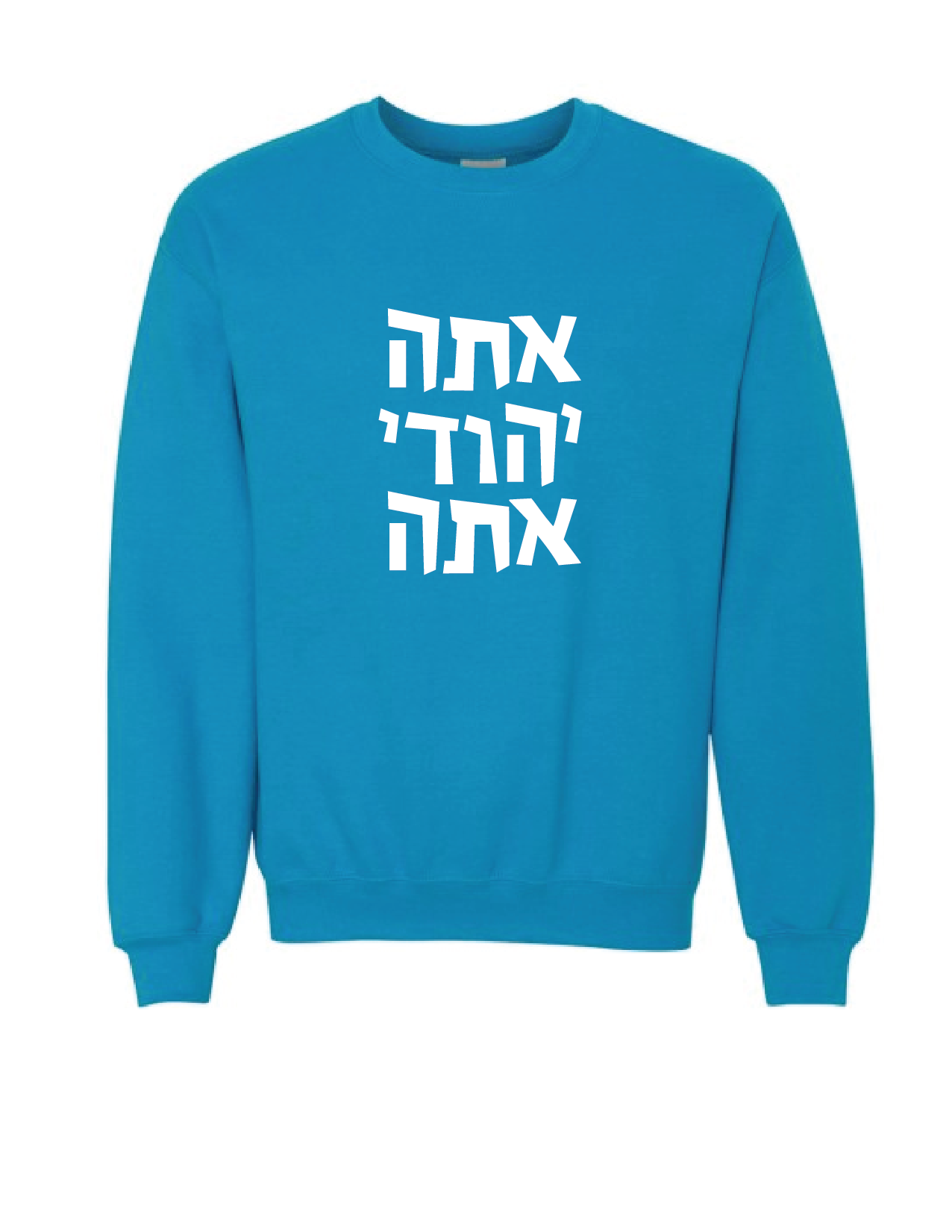 You Jew You Sweatshirt